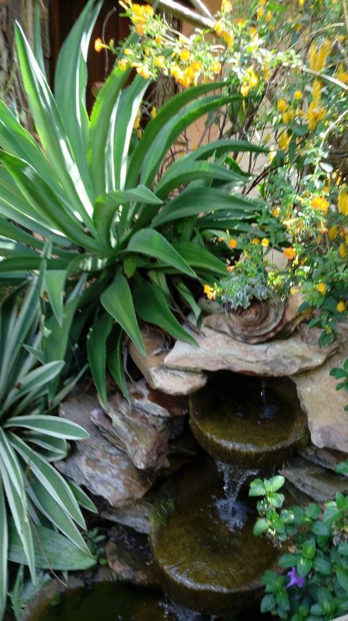 Eco Pousada Jardim Do Eden Alto Paraíso de Goiás Екстериор снимка