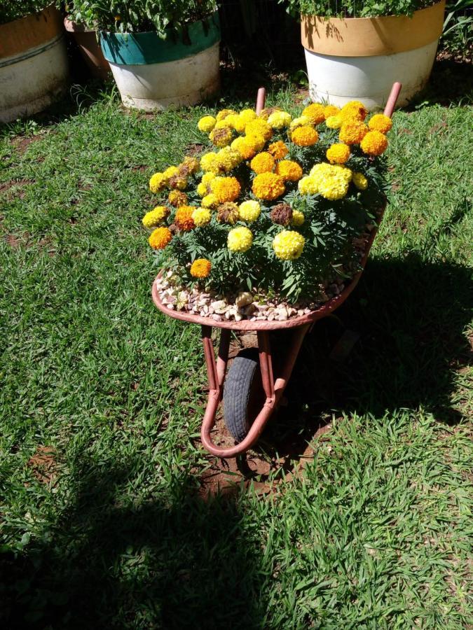Eco Pousada Jardim Do Eden Alto Paraíso de Goiás Екстериор снимка