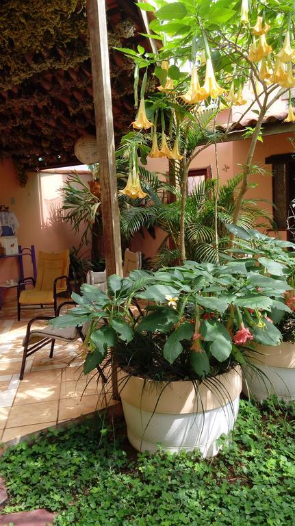 Eco Pousada Jardim Do Eden Alto Paraíso de Goiás Екстериор снимка