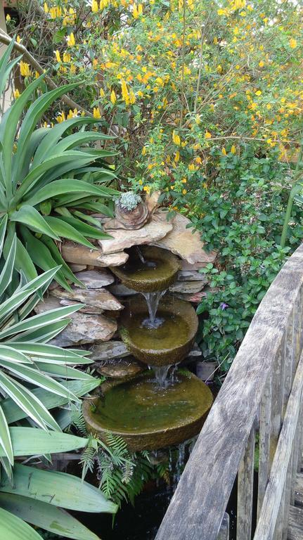 Eco Pousada Jardim Do Eden Alto Paraíso de Goiás Екстериор снимка